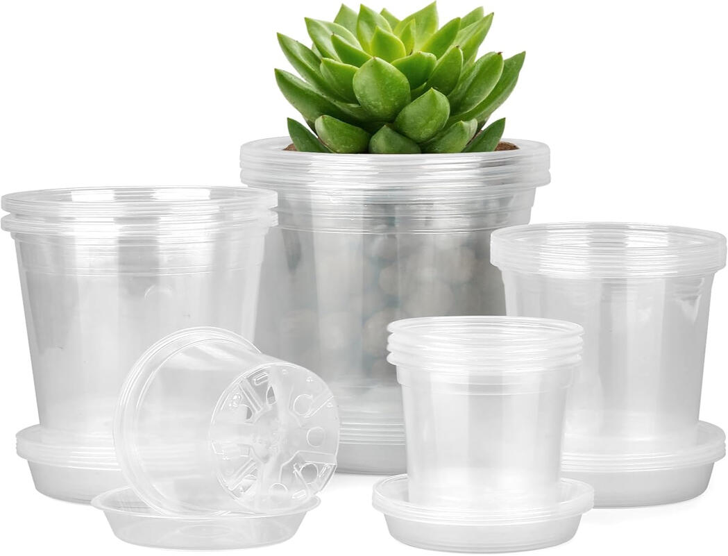 Nursery pots for seedlings Nursery pots for seedlings